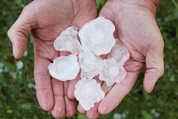 hail damage