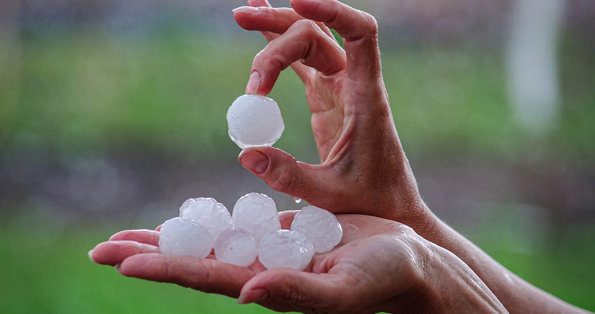 Hail Stones In Hand