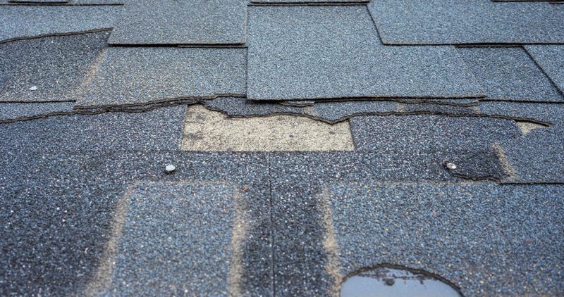 Wind Damaged Shingles