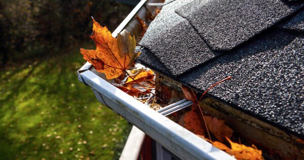 Fall Leaves In Gutter