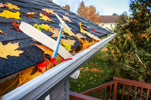 Gutter Full of Leaves