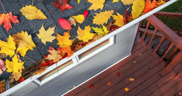 Gutters Full Of Leaves