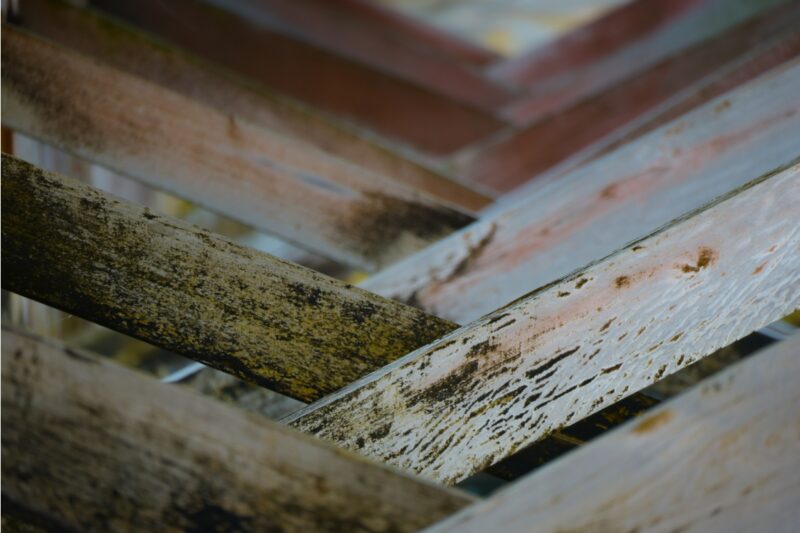 Mold Build Up In Home Attic