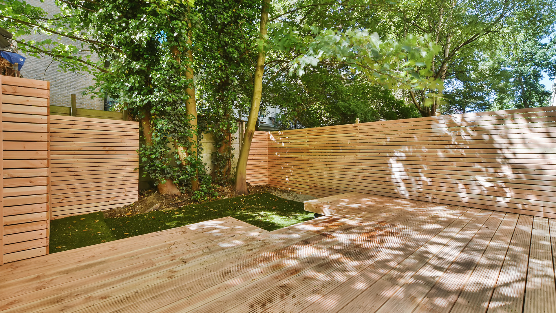 Fenced In Backyard