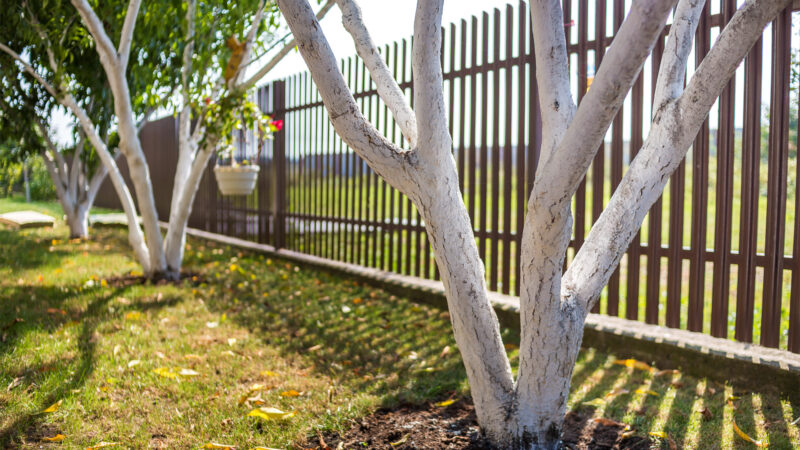 Metal Perimeter Fence